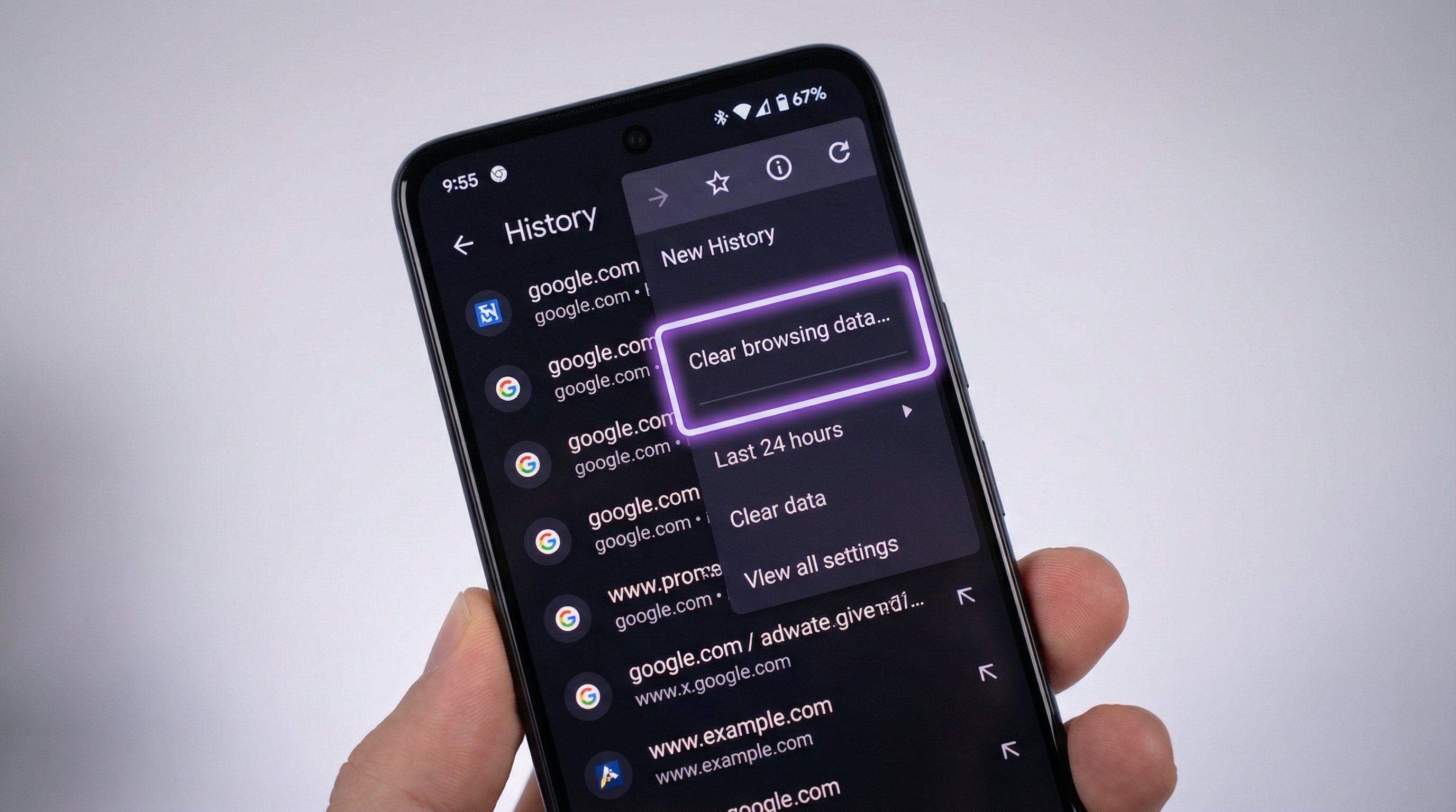 Tarama Verilerini Temizle